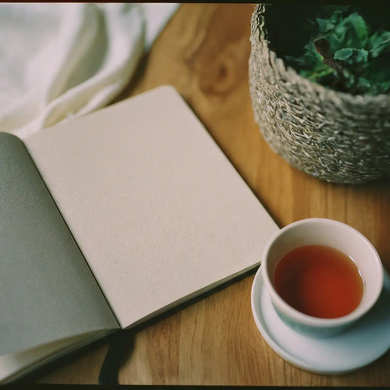 Cognitive Behavioral Therapy: A Comprehensive Guide to Mental Wellness